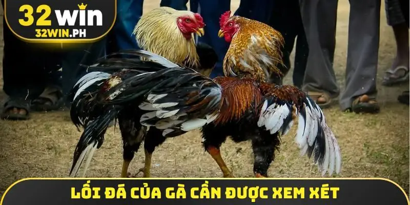 Lối đá của gà cần được xem xét