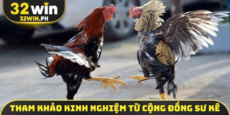 Tham khảo kinh nghiệm từ cộng đồng sư kê