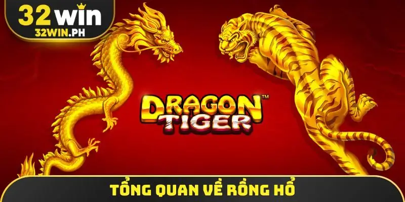 Tổng quan về rồng hổ